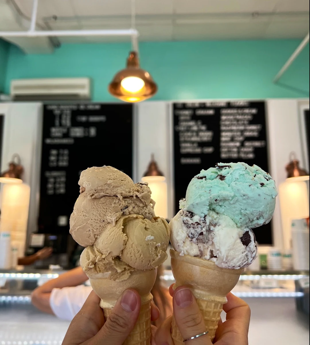 Mint Chocolate Chip