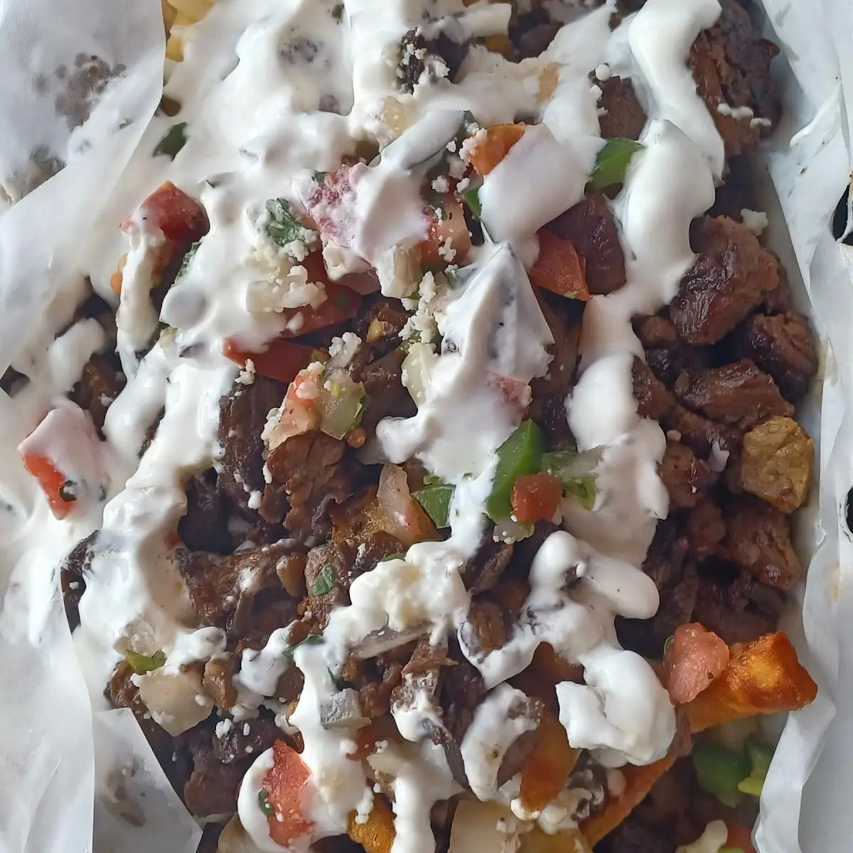 Carne Asada Fries