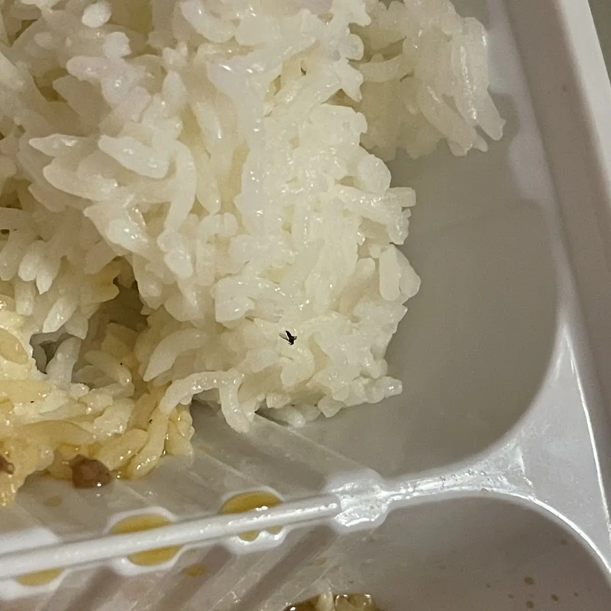 White Rice qt