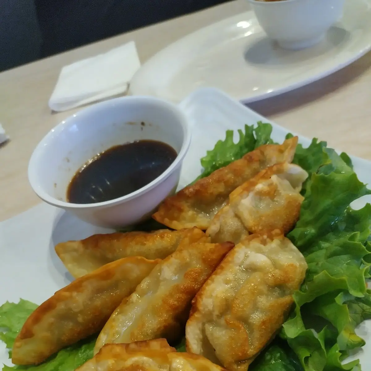 Pork Dumplings