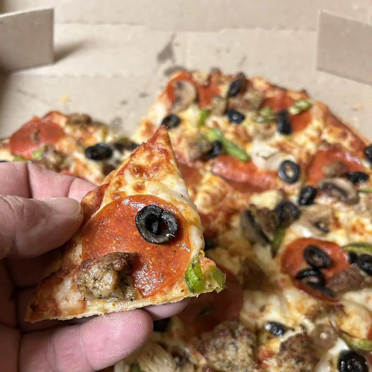 Thin Crust Pizza