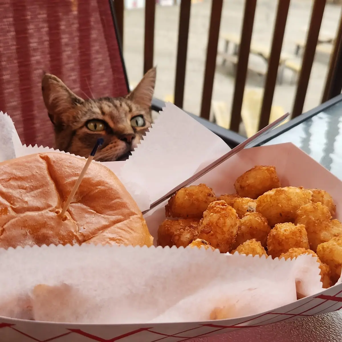 Tater Tots