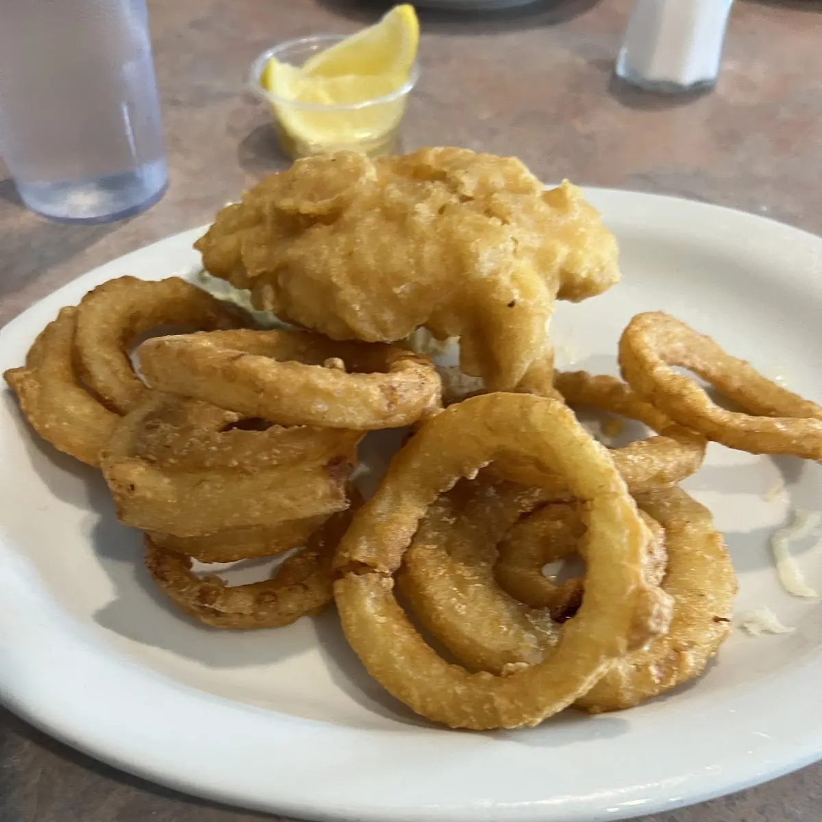Halibut and Onion Rings