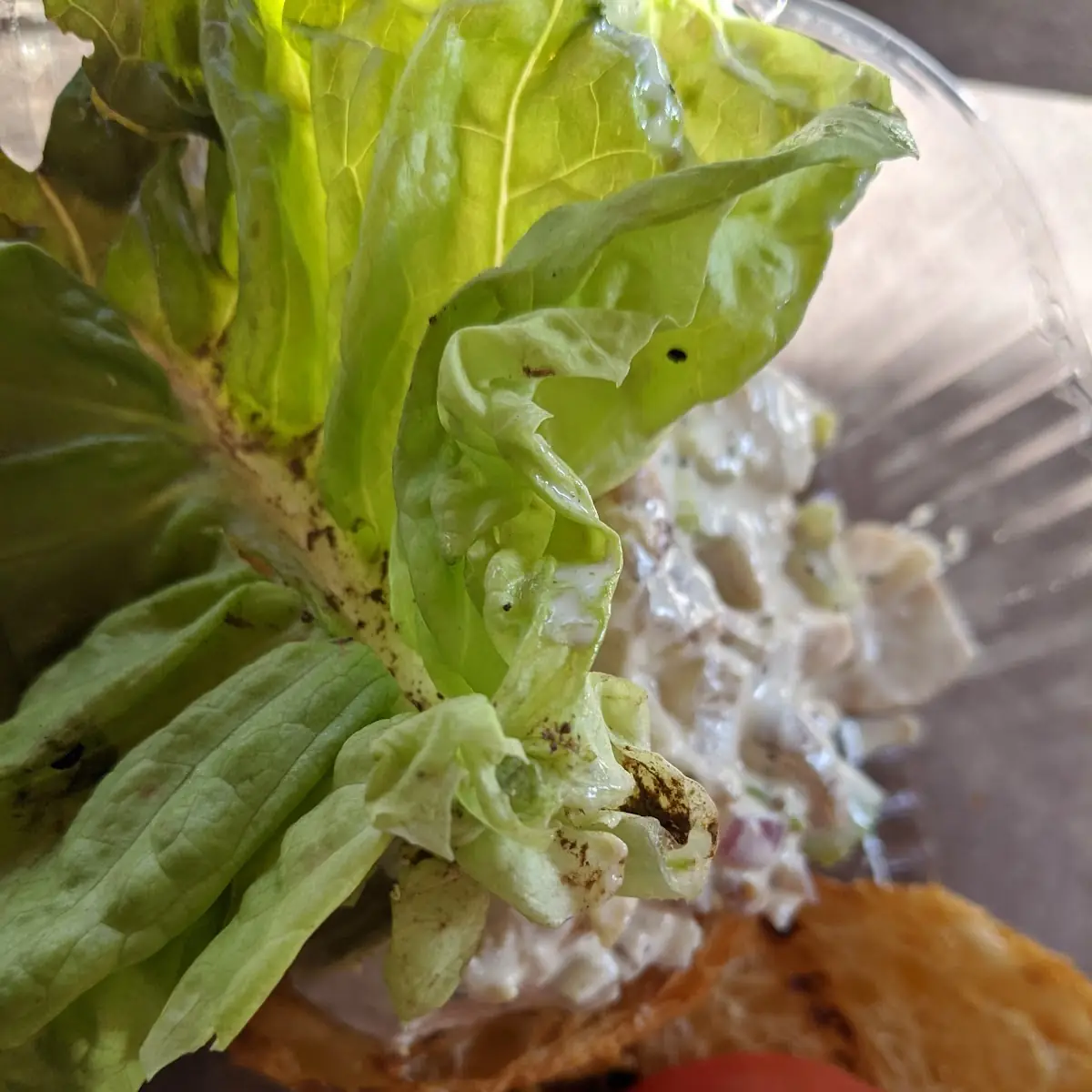 Chicken Salad Croissant