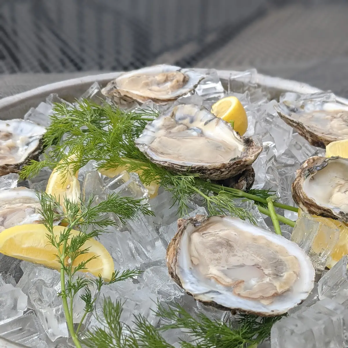Oysters Half Shell