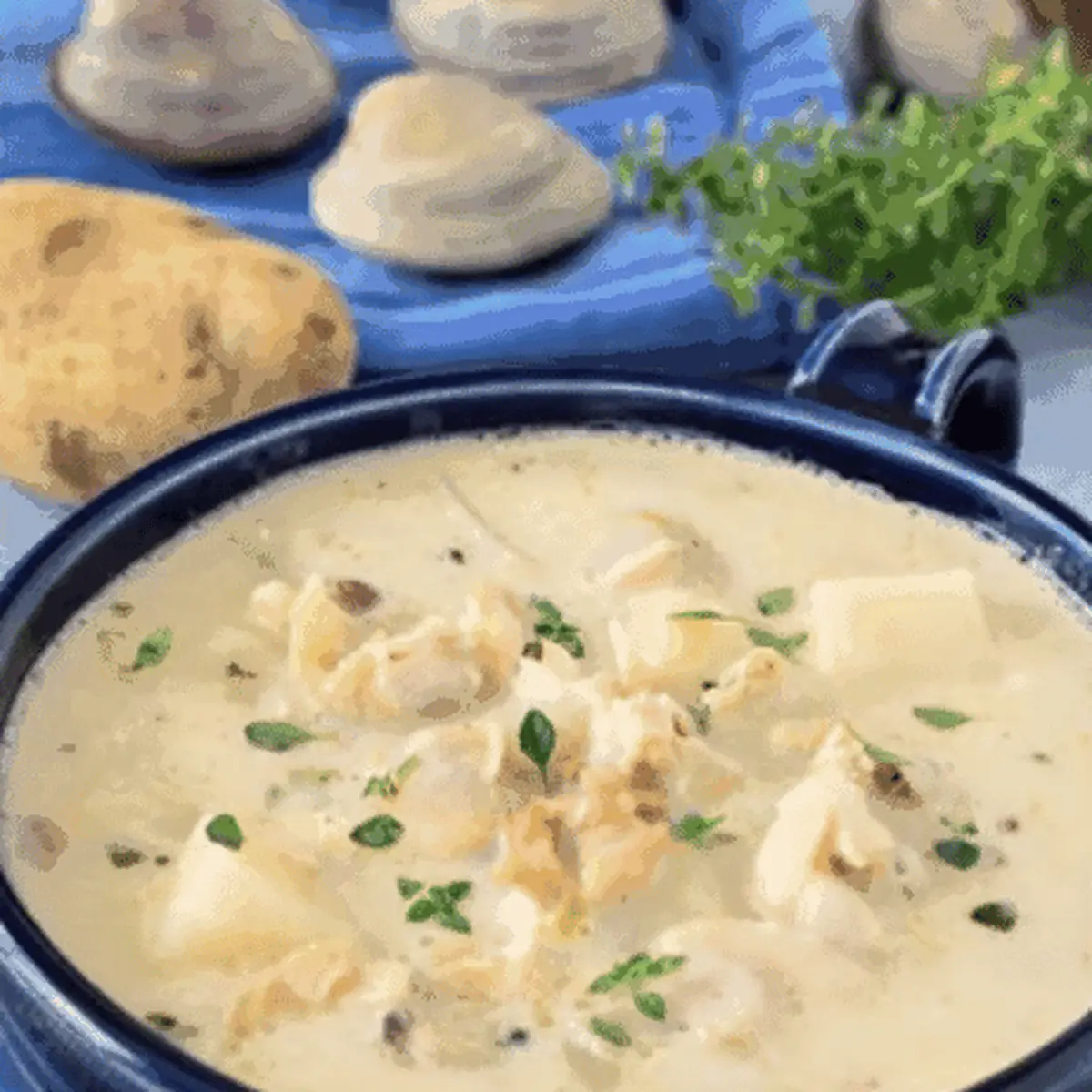 New England Clam Chowder White