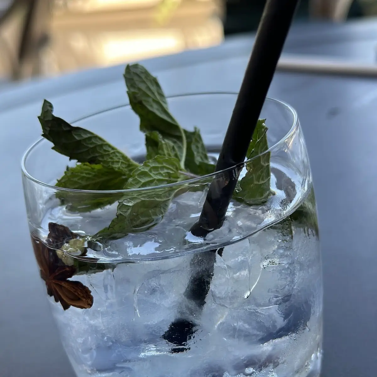 Botanical Gin & Tonic