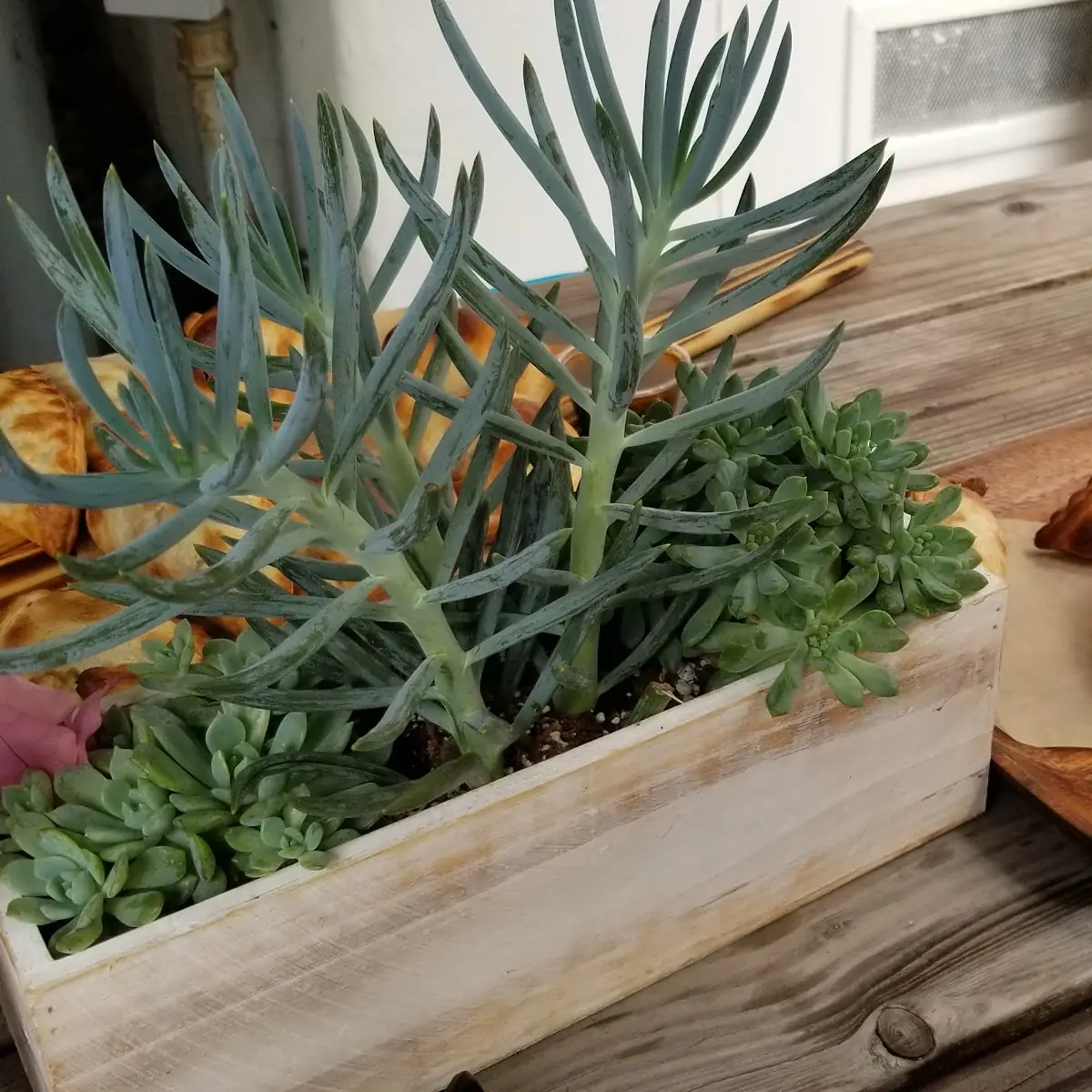 Beef Empanadas