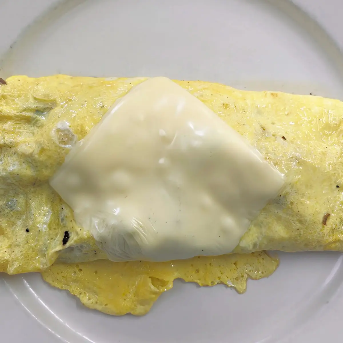 Philly Cheesesteak Omelet