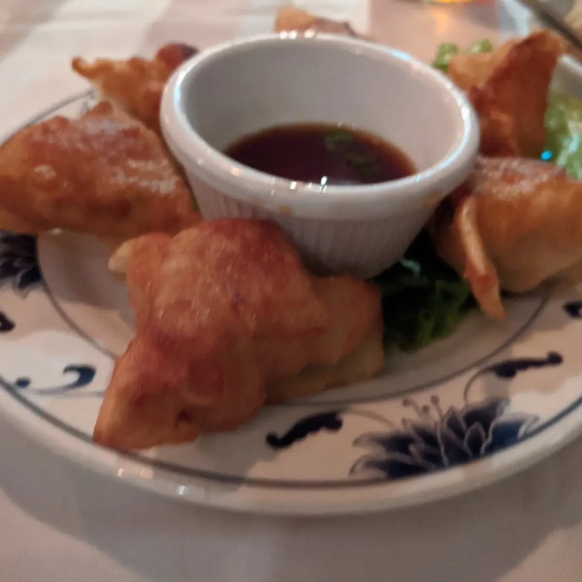 Chicken Pot Stickers