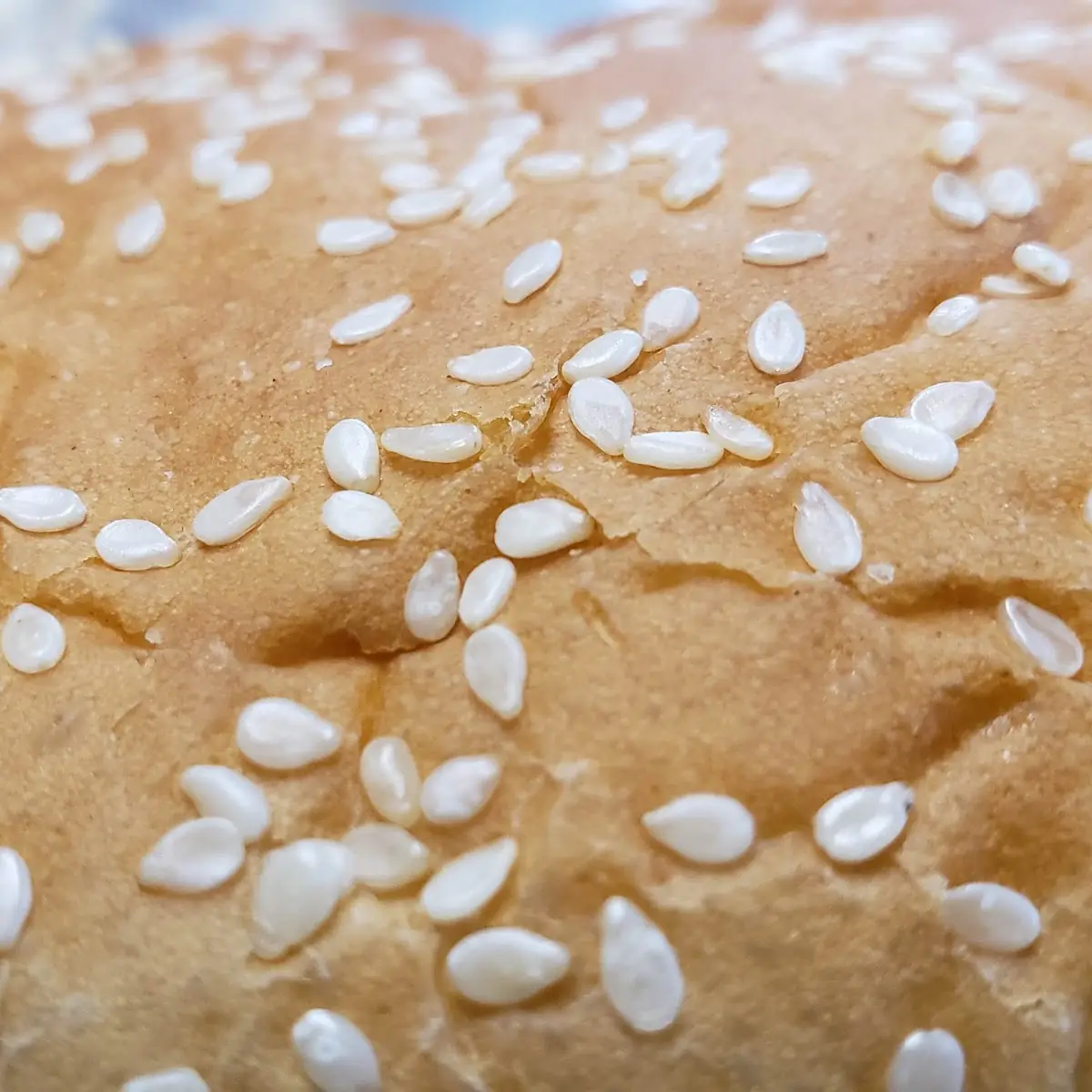 Sesame Seeds Bun