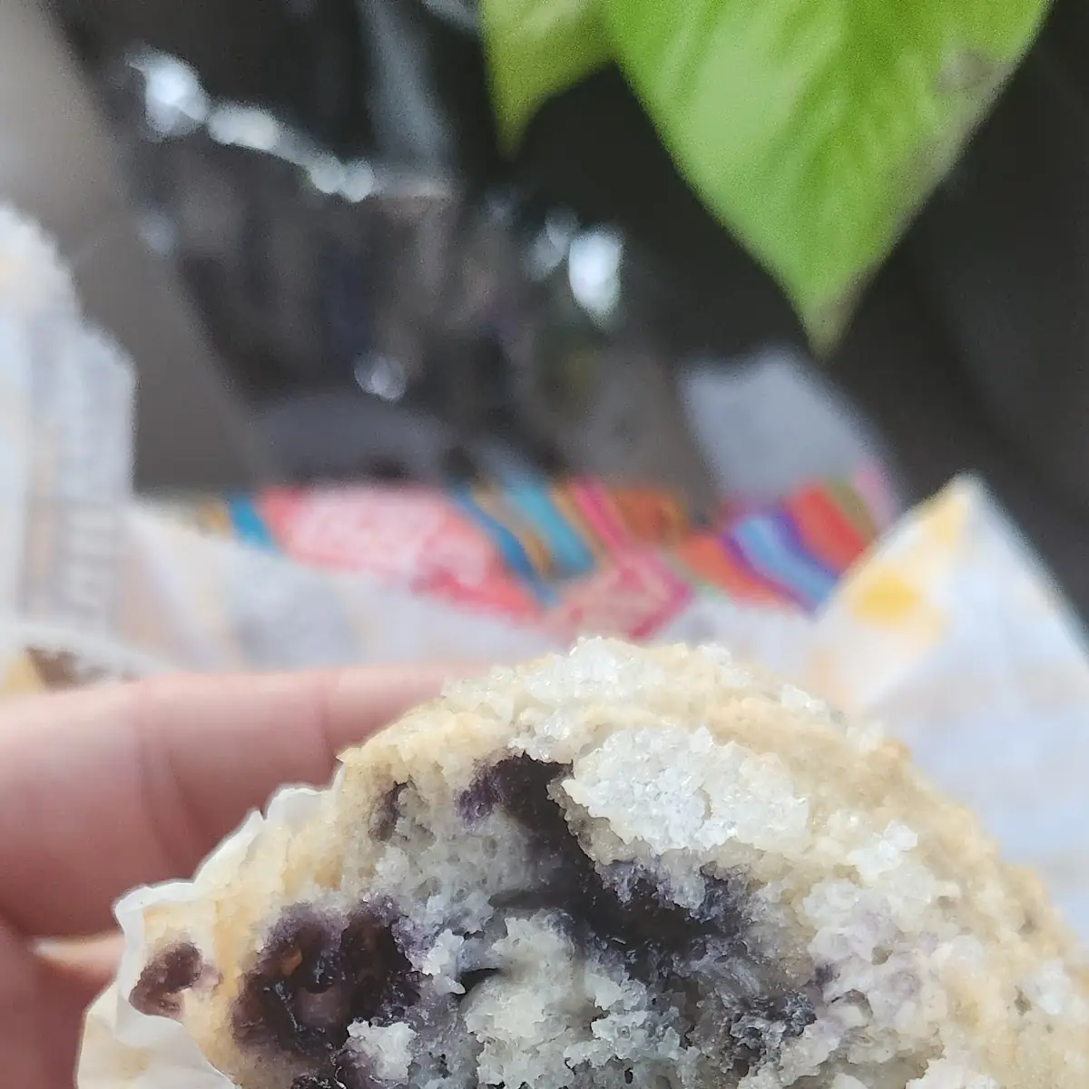 Blueberry Muffin