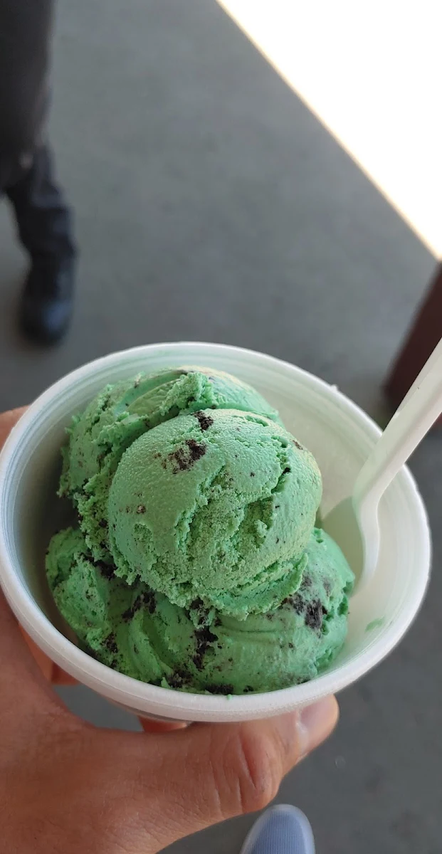 Mint Oreo Ice Cream