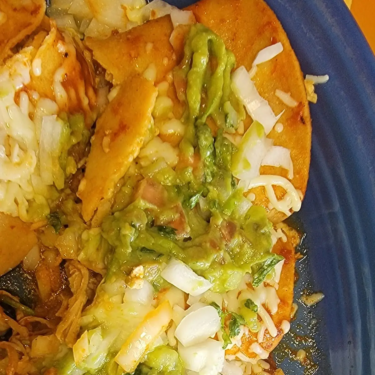 Carnitas Burrito