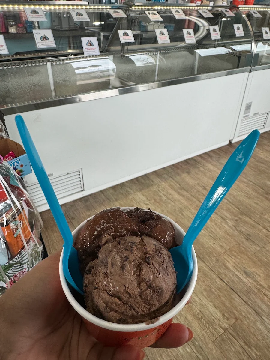 Chocolate Ice Cream