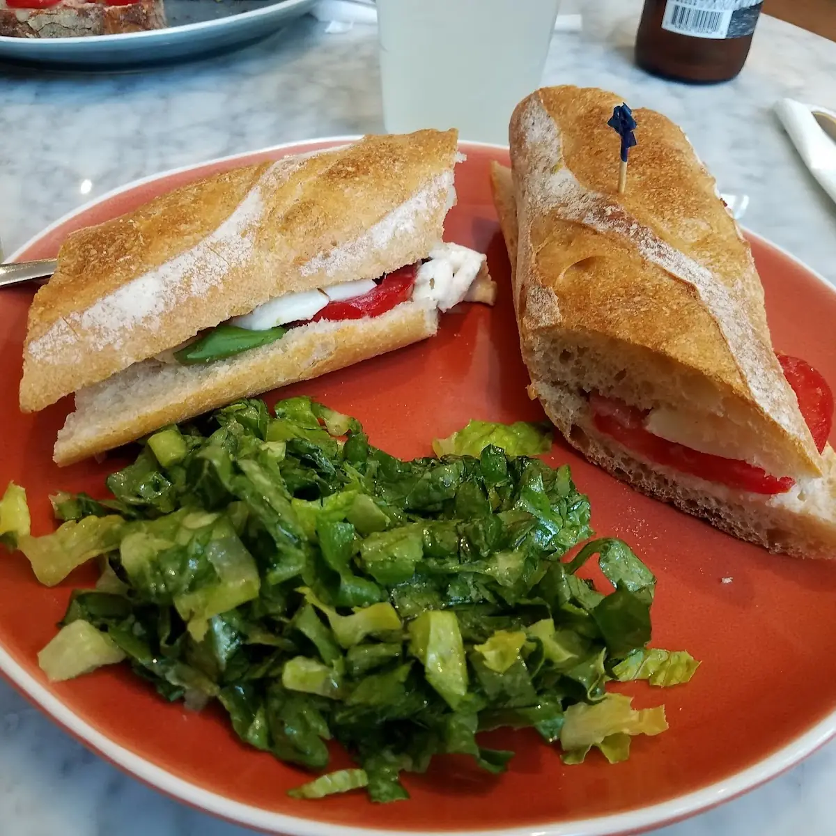 Tomato Mozzarella Sandwich with House Salad