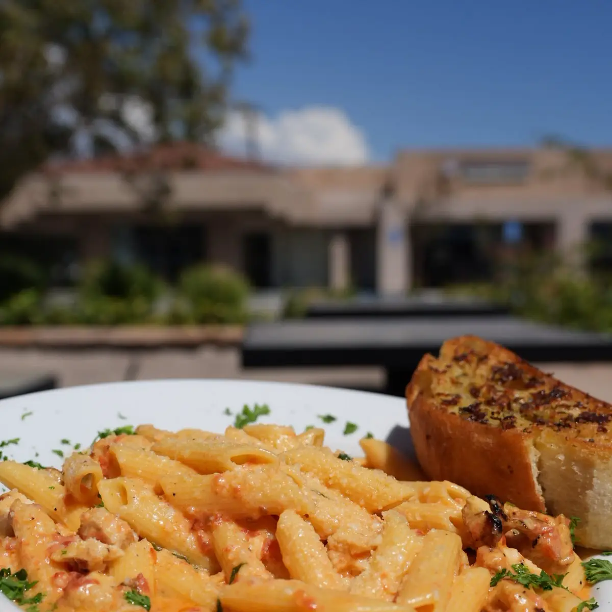 Penne Vodka Pasta