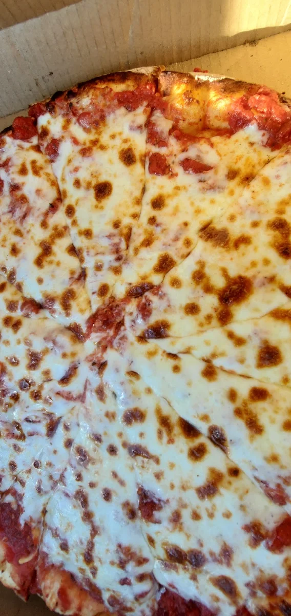 Extra Cheese Pizza