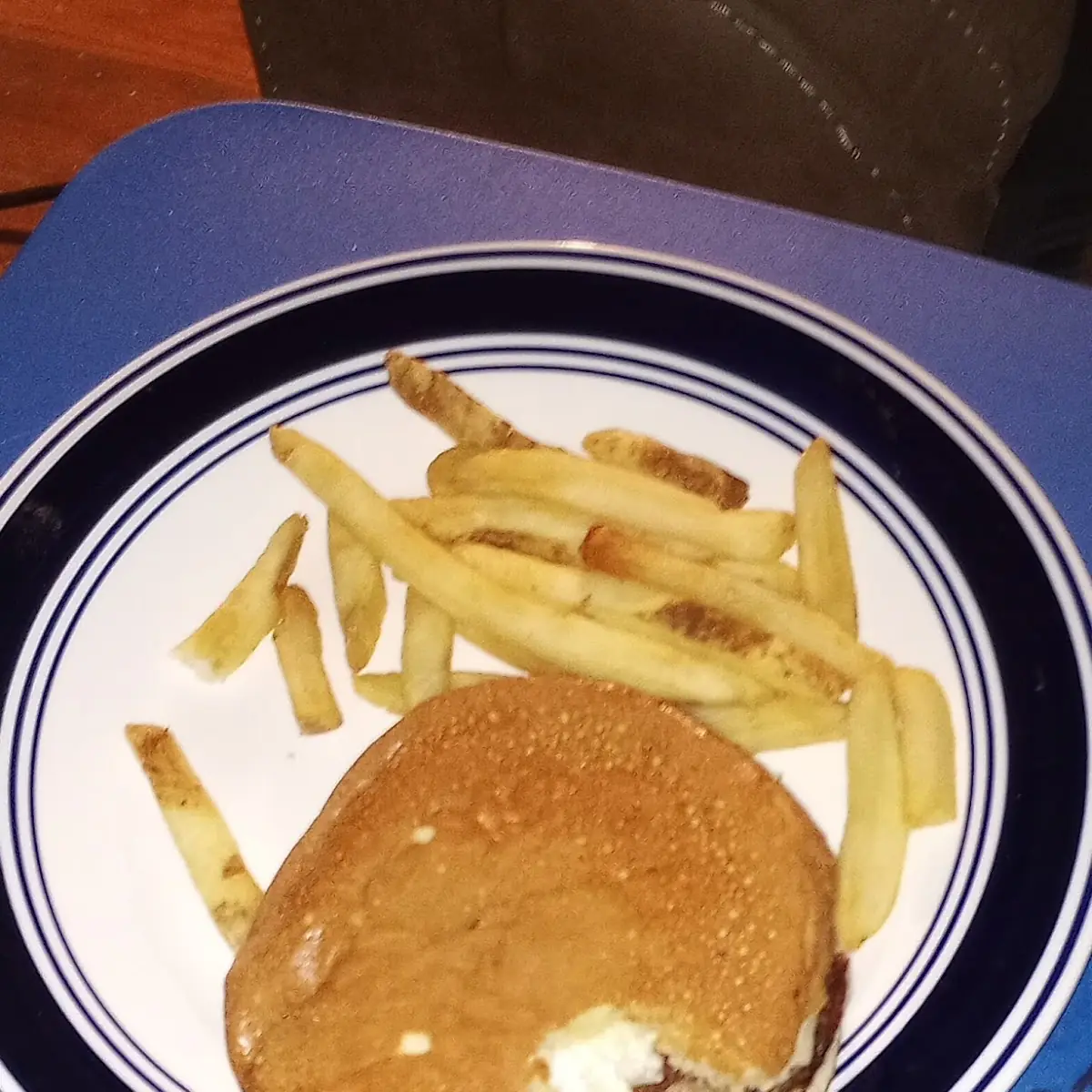 Hamburger Fries