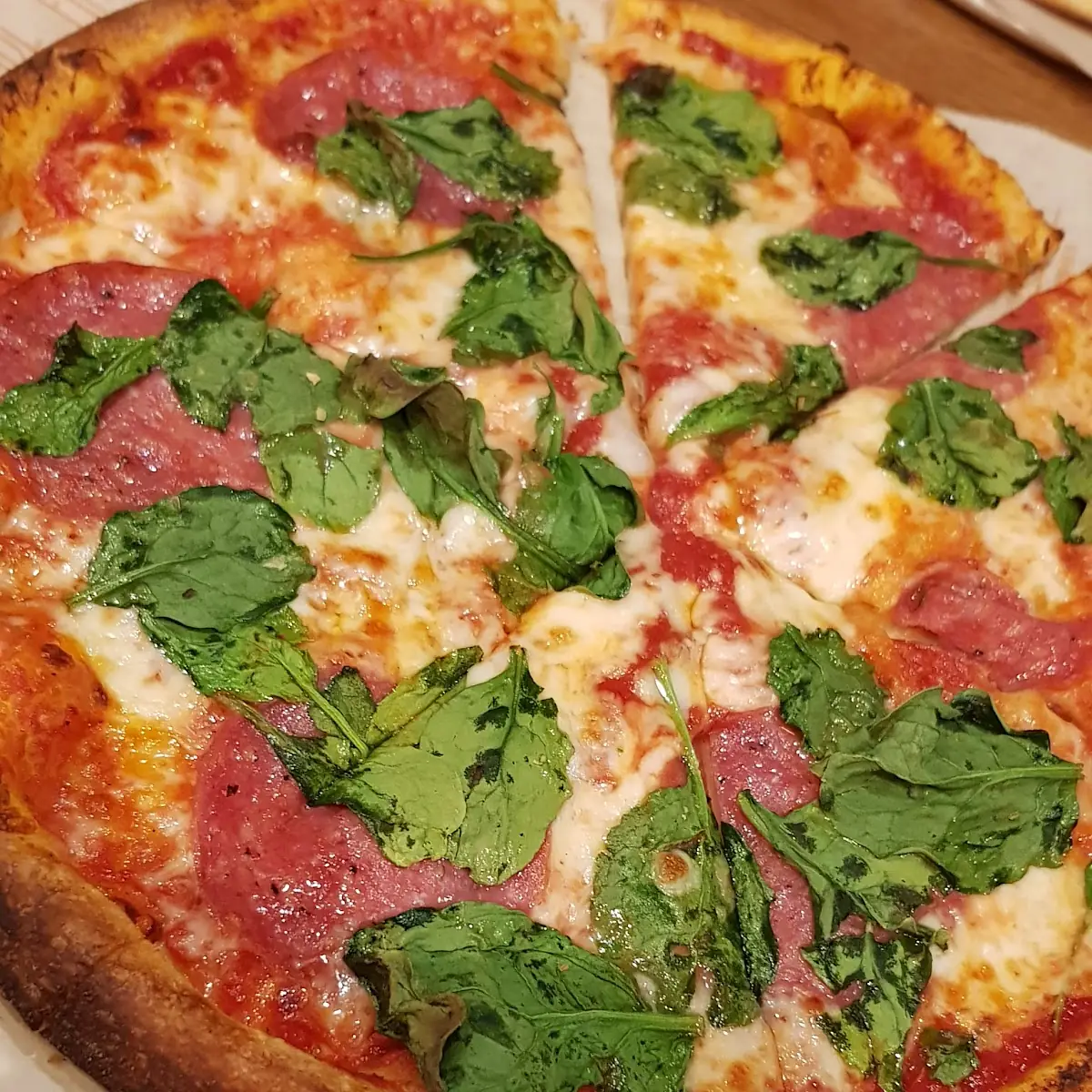 Mozzarella Cheese Salame Pizza