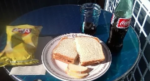 Tuna Melt