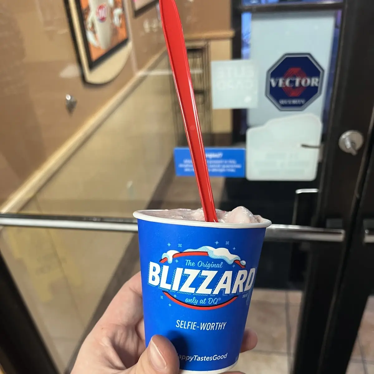 Strawberry Cheesecake Blizzard