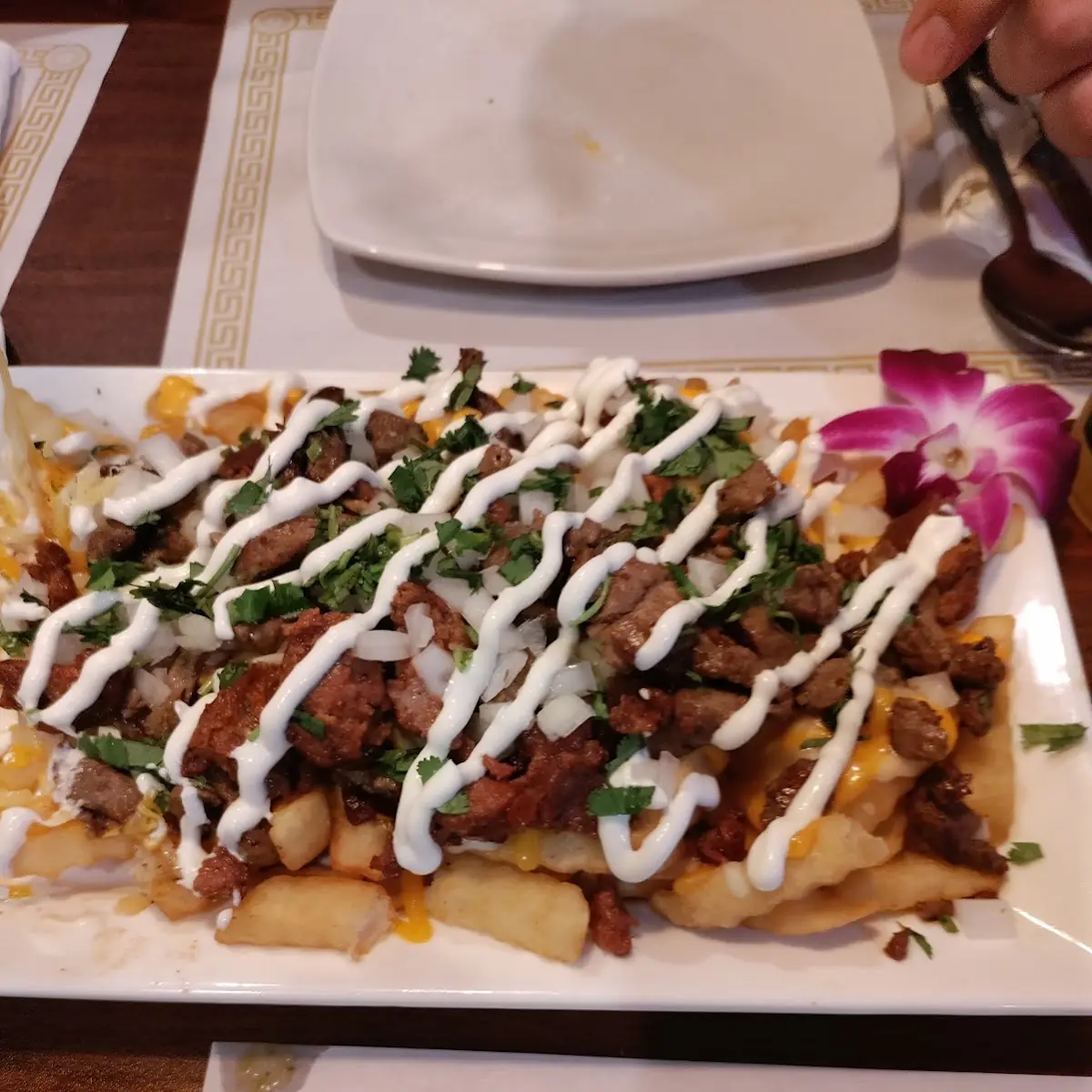 Loaded Fries