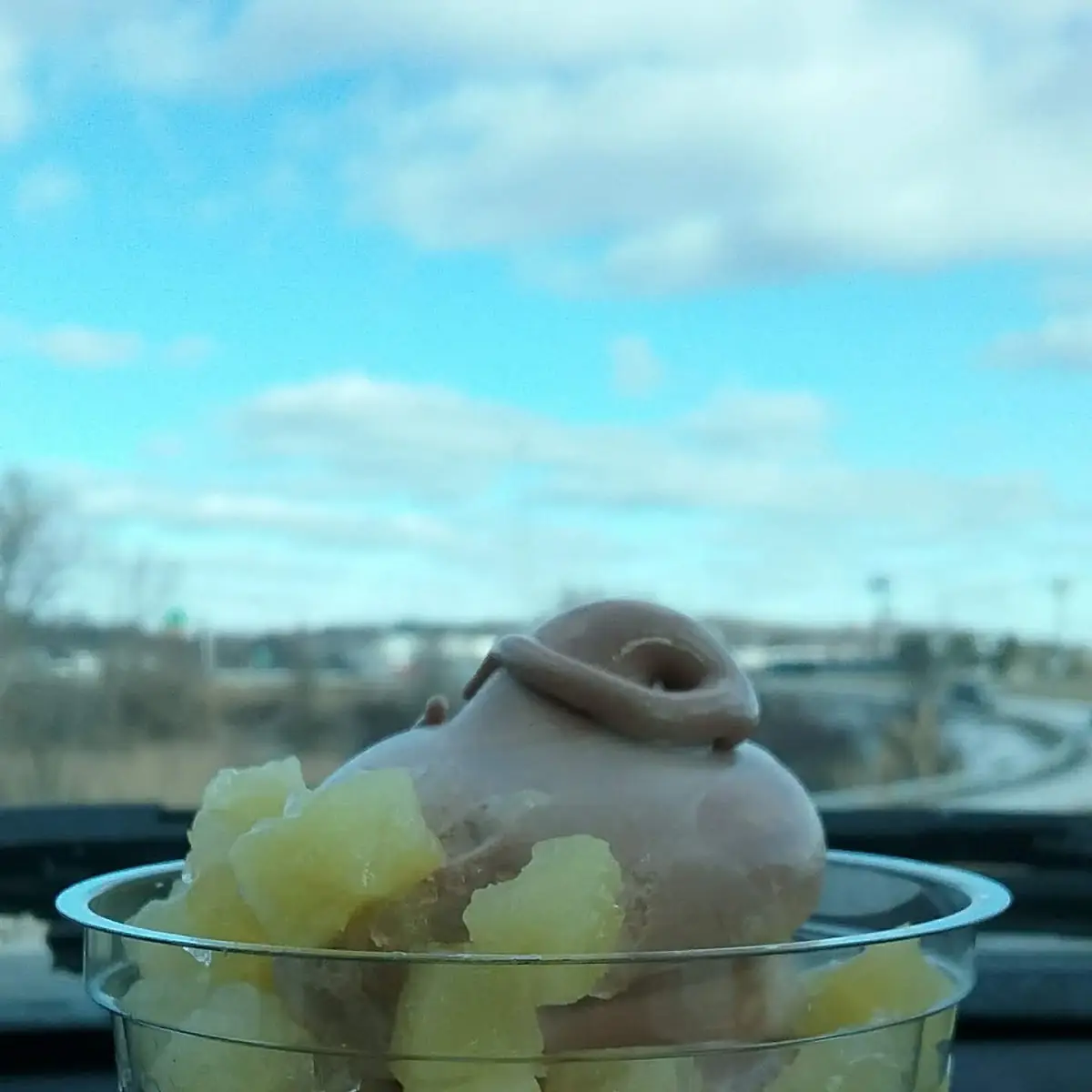Chocolate Ice Cream with Pineapple