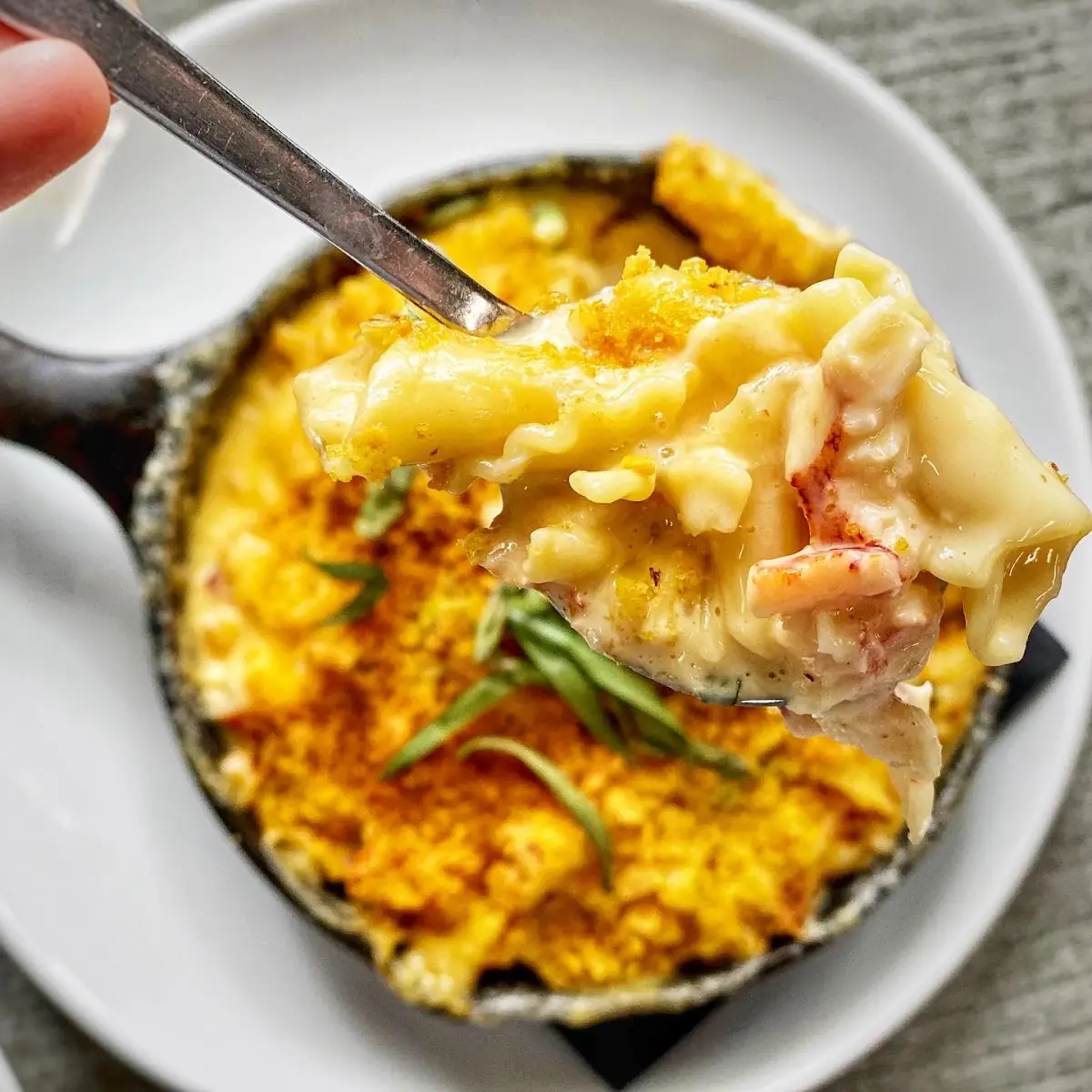 Lobster Mac & Cheese