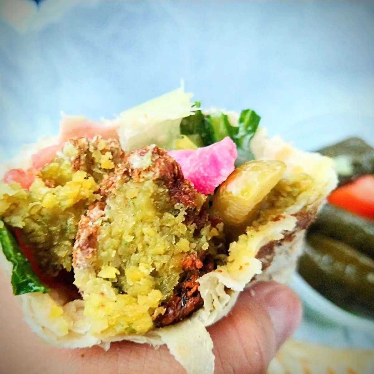 Falafel Wrap