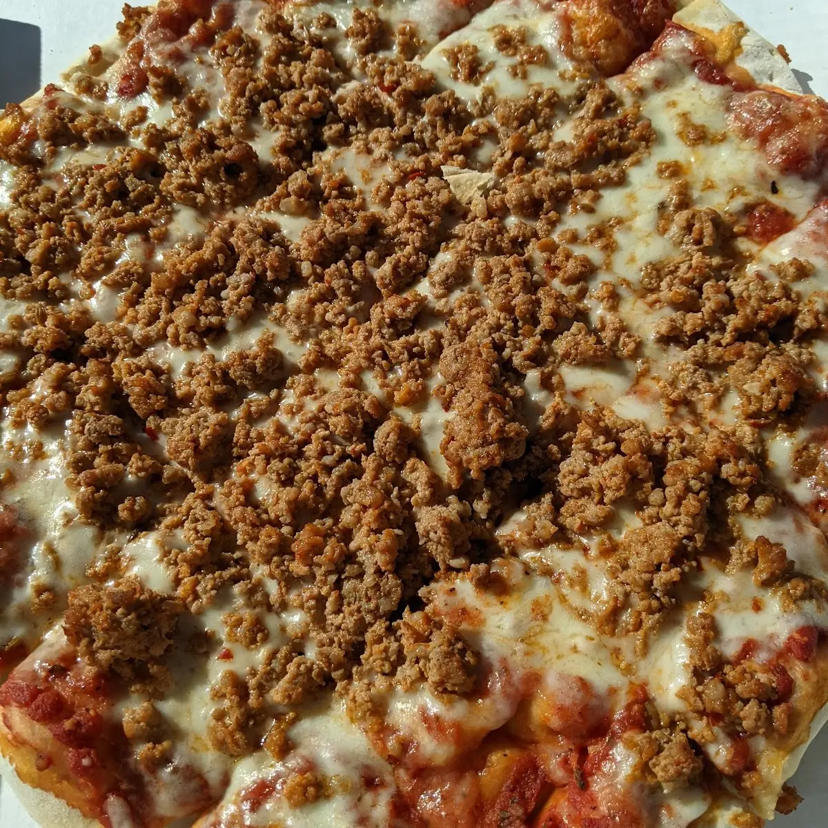 Large Italian Sausage Pizza