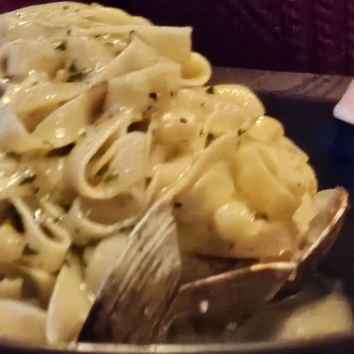 Clams with Pasta Bolognese