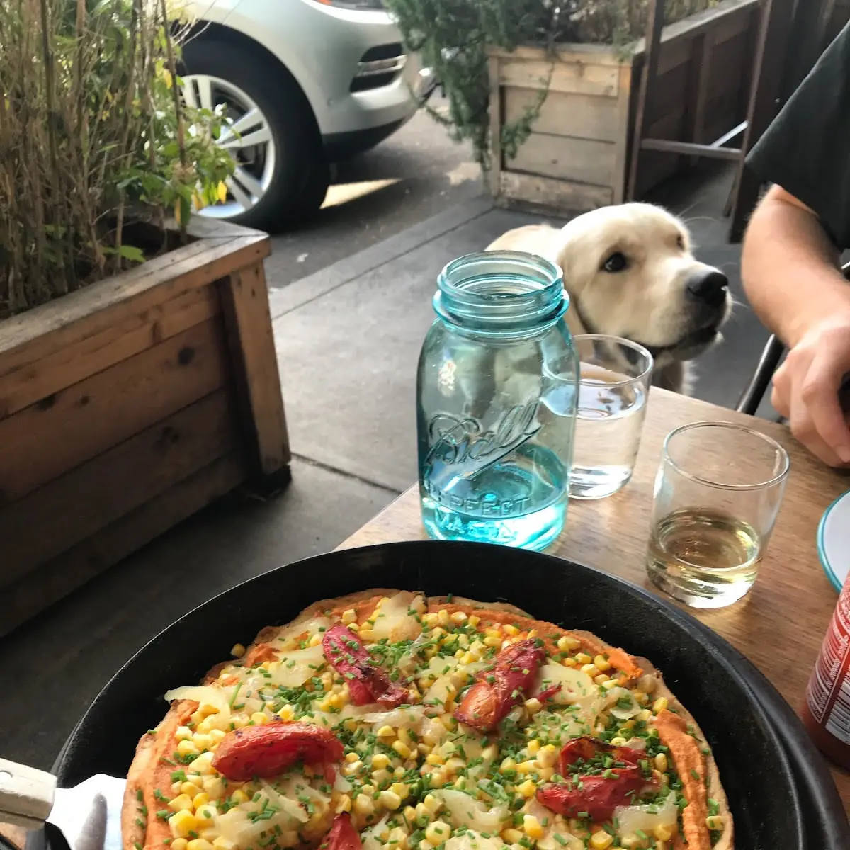 Crust Pizza Pie