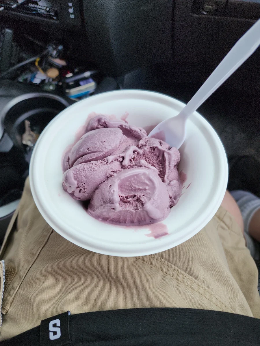 Black Raspberry Chip Yogue