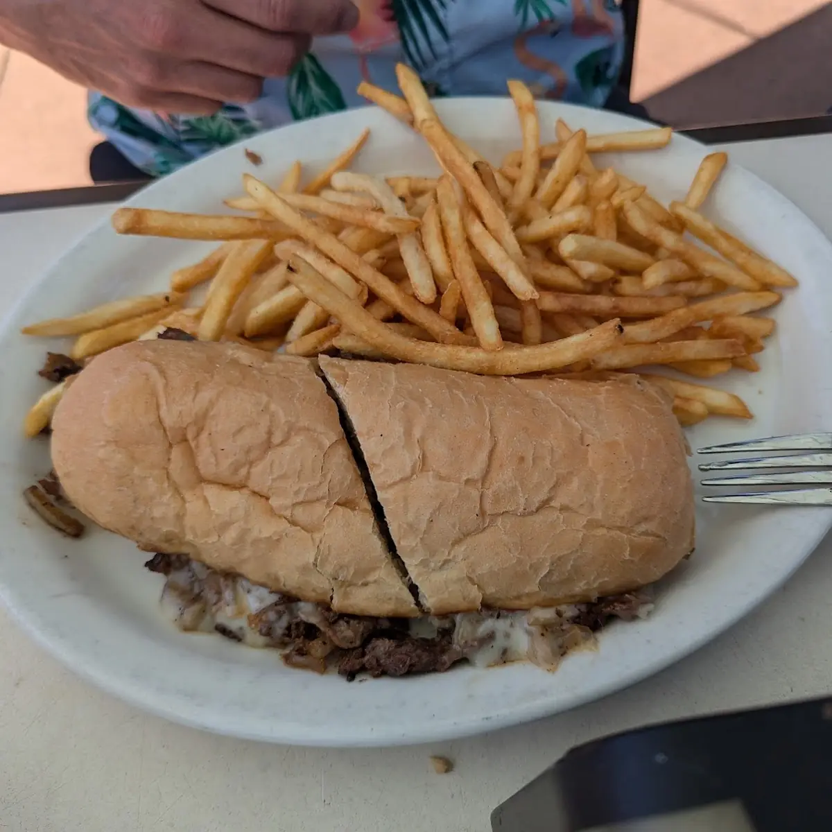 Philly Cheese Steak Sandwich with Fries