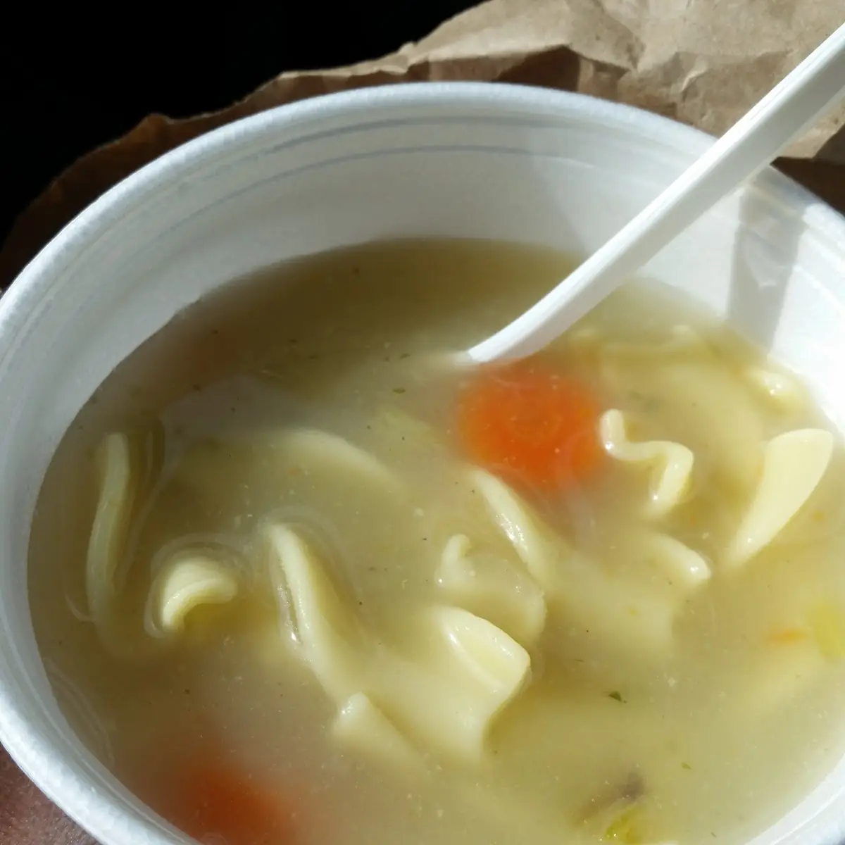 Homestyle Chicken Noodle
