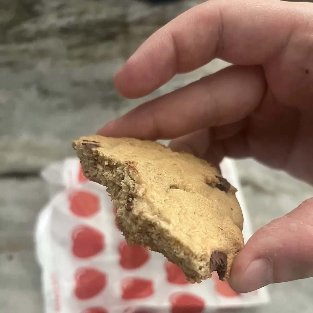 Chocolate Chip Cookie