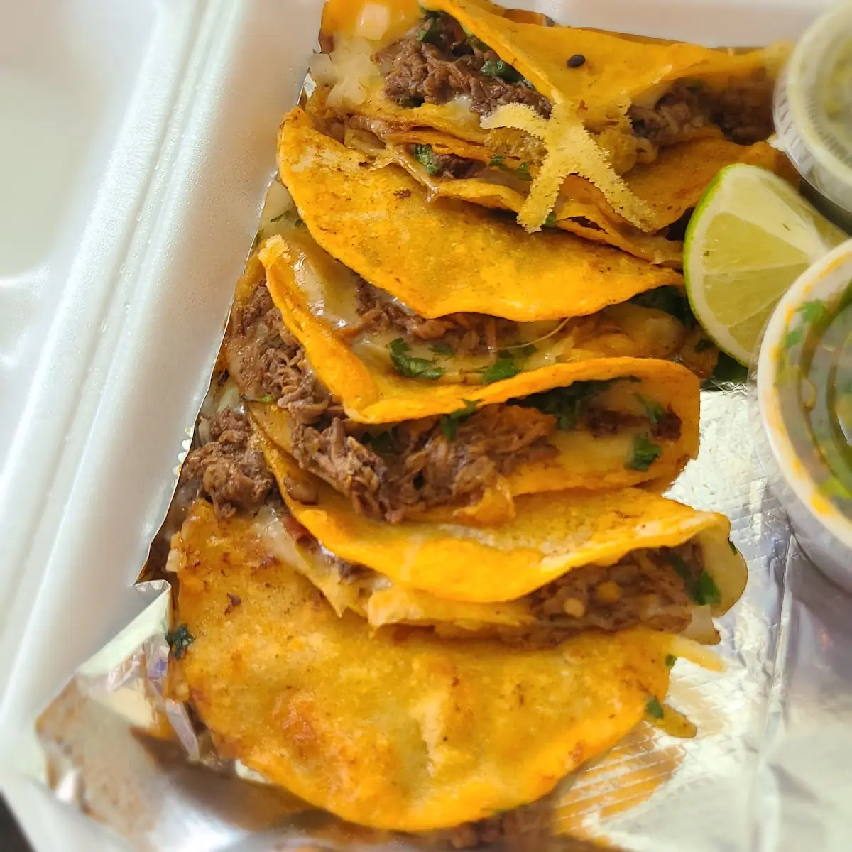 Quesabirria Tacos Combo