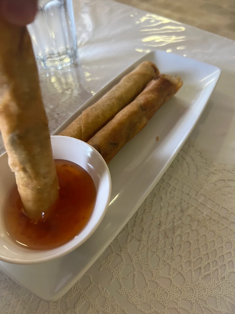 A0. Veggie Spring Rolls (3)