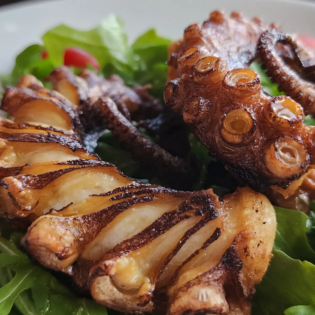 Grilled Octopus