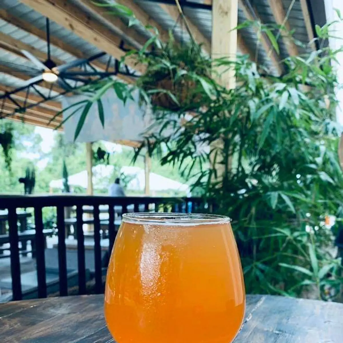 Key Lime Colada Milkshake IPA