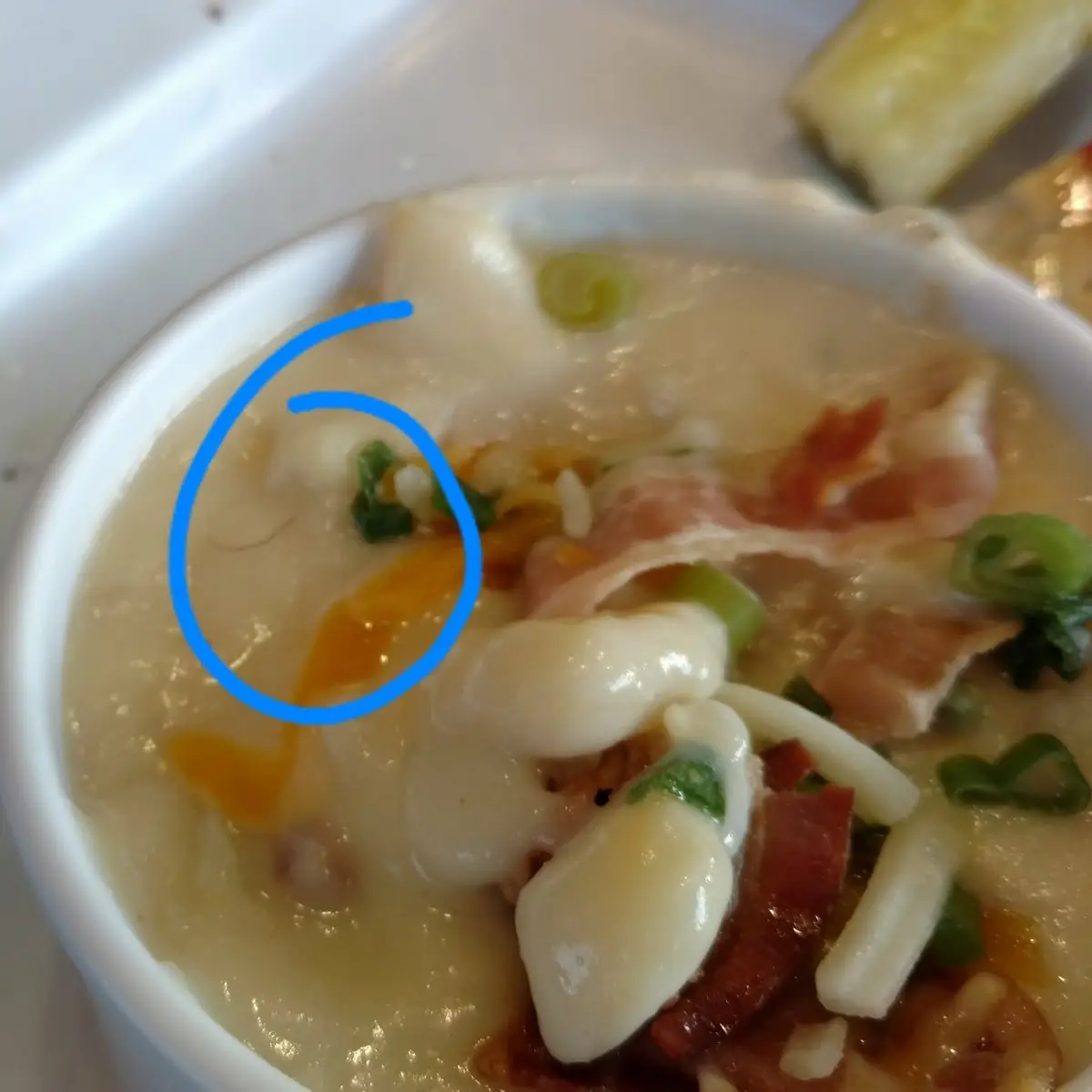 Hair in Soup