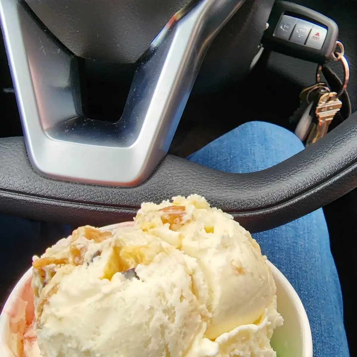 Strawberry Vanilla Ice Cream