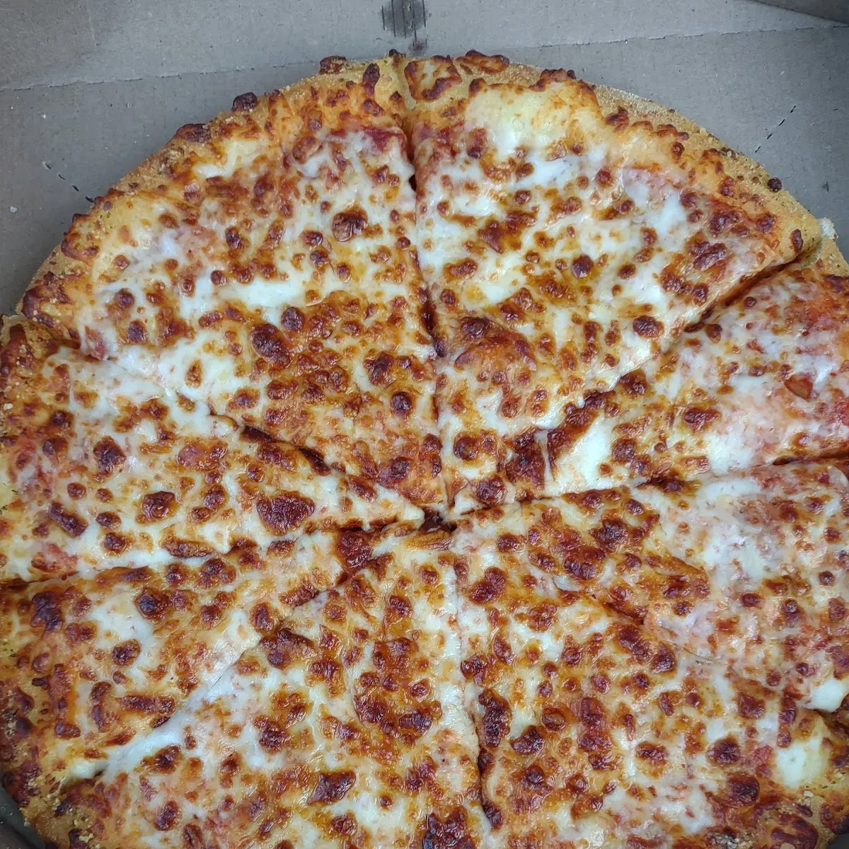 Medium Cheese Pizza