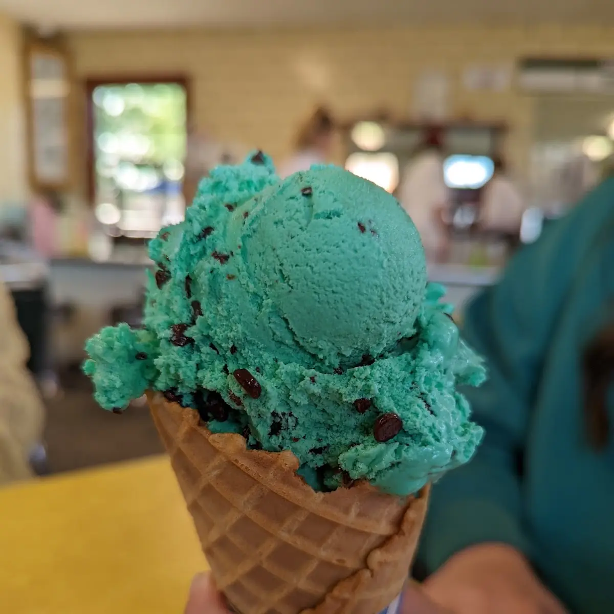 Mint Chocolate Chip