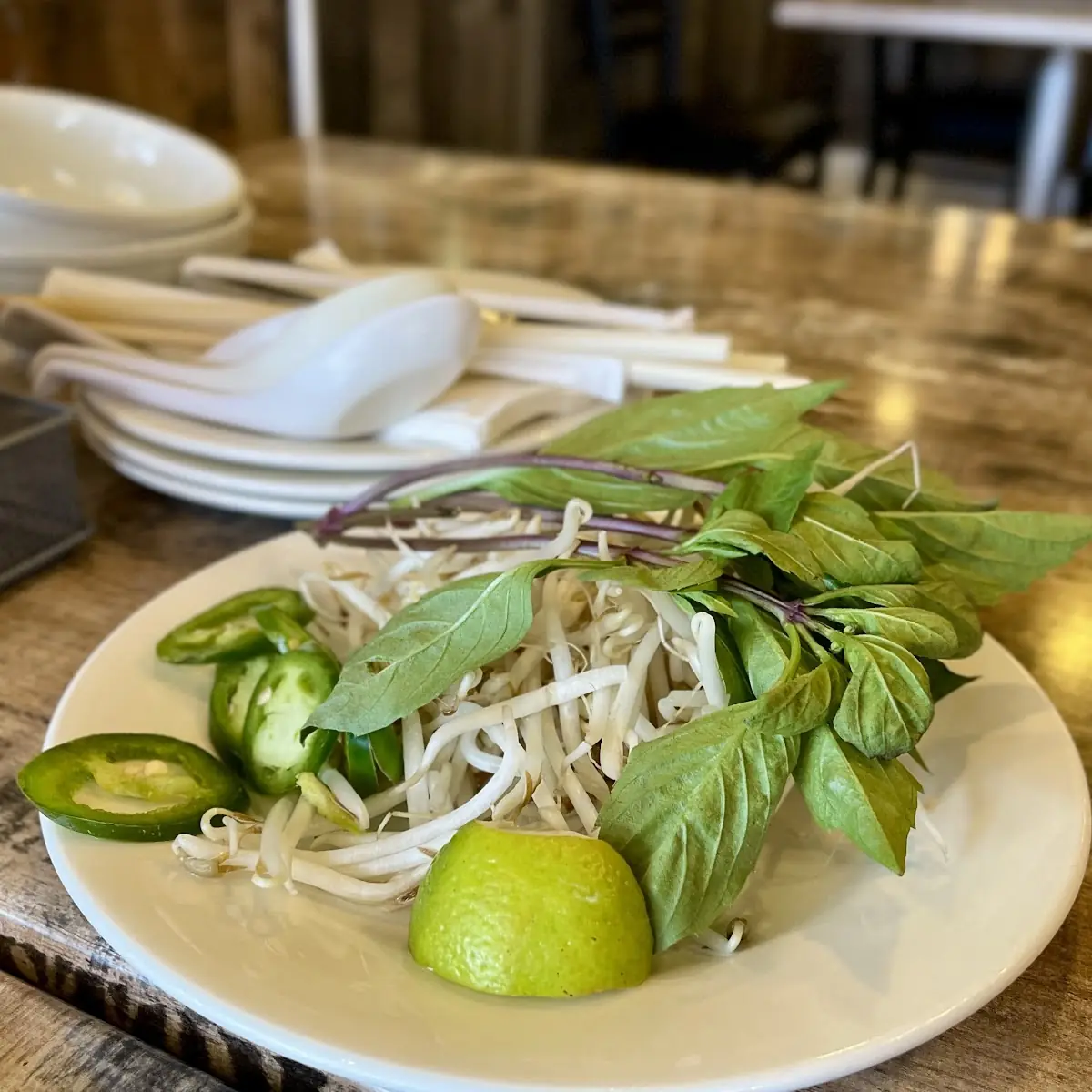 Bean Sprouts Mint Garnish