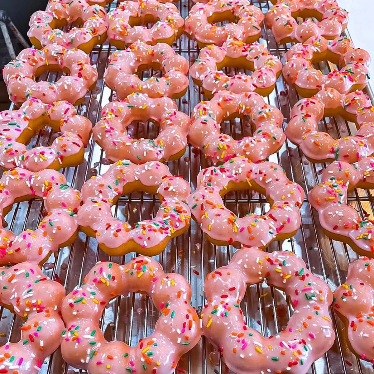 Doughnut