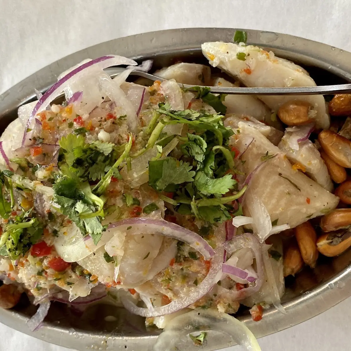 Fish Ceviche Mixto