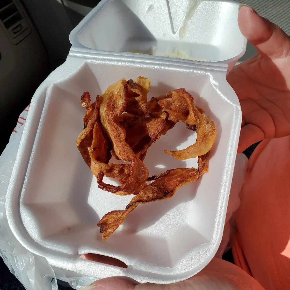 Turkey Bacon