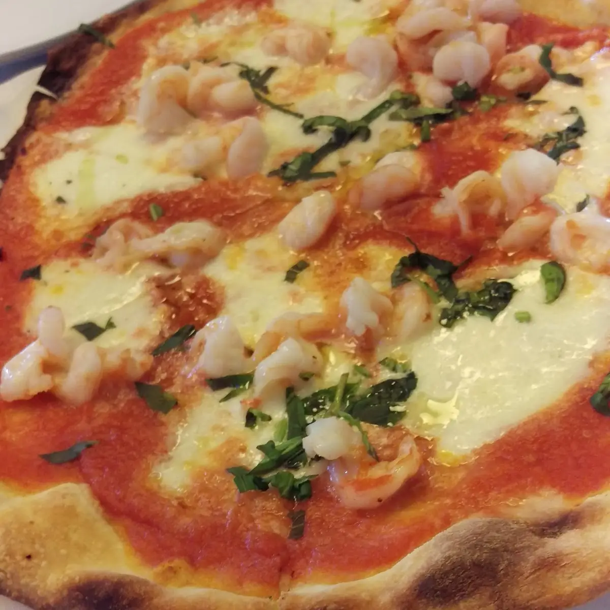 Margarita Pizza with Shrimp